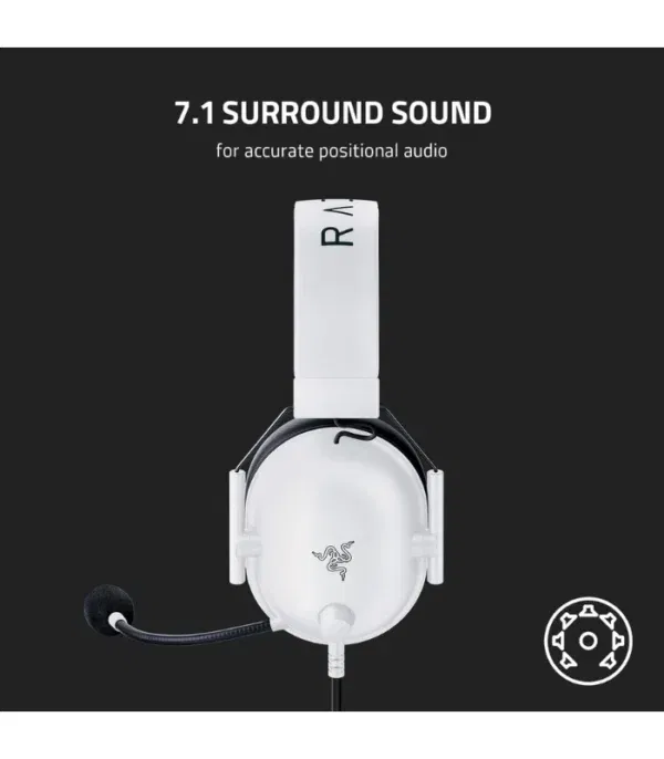 Razer Blackshark V2 X